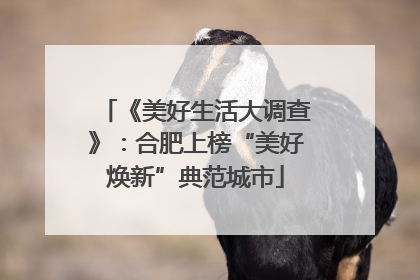 《美好生活大调查》：合肥上榜“美好焕新”典范城市