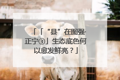 「“县”在图强·正宁③」生态底色何以愈发鲜亮？