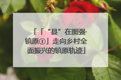 「“县”在图强·镇原③」走向乡村全面振兴的镇原轨迹