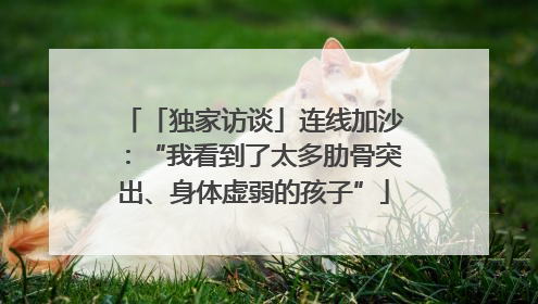 「独家访谈」连线加沙：“我看到了太多肋骨突出、身体虚弱的孩子”
