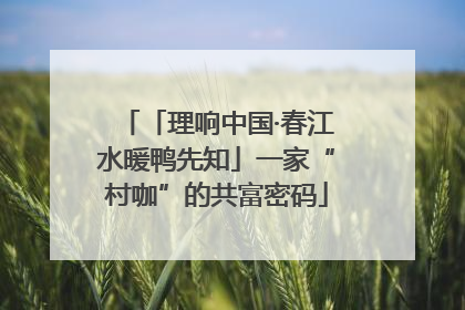 「理响中国·春江水暖鸭先知」一家“村咖”的共富密码