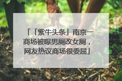 「紫牛头条」南京一商场被曝男厕改女厕，网友热议商场很委屈