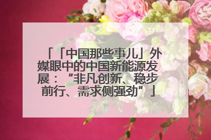 「中国那些事儿」外媒眼中的中国新能源发展：“非凡创新、稳步前行、需求侧强劲”