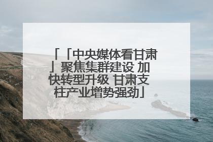 「中央媒体看甘肃」聚焦集群建设 加快转型升级 甘肃支柱产业增势强劲