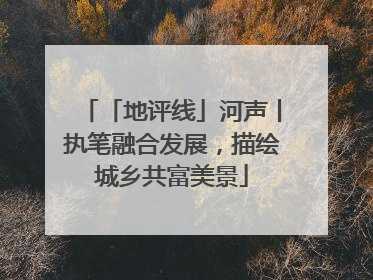 「地评线」河声丨执笔融合发展，描绘城乡共富美景