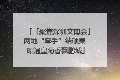 「聚焦深圳文博会」两地“牵手”结硕果 昭通皇菊香飘鹏城