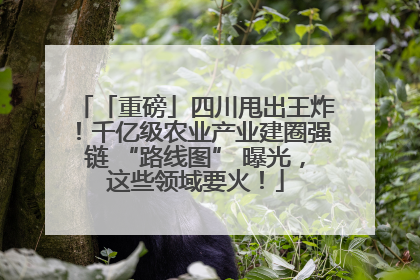 「重磅」四川甩出王炸！千亿级农业产业建圈强链 “路线图” 曝光，这些领域要火！