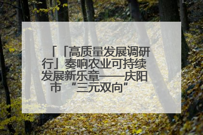 「高质量发展调研行」奏响农业可持续发展新乐章——庆阳市 “三元双向” 循环农业模式观察