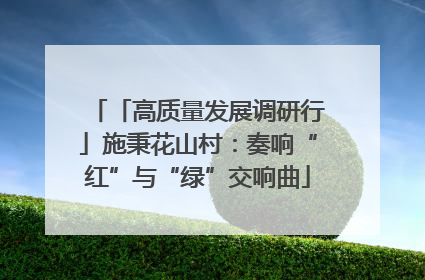 「高质量发展调研行」施秉花山村：奏响“红”与“绿”交响曲