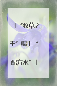 “牧草之王”喝上“配方水”