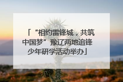 “相约雷锋城，共筑中国梦”豫辽两地追锋少年研学活动举办