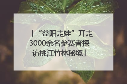“益阳走娃”开走 3000余名参赛者探访桃江竹林秘境