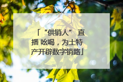 “供销人” 直播 吆喝，为土特产开辟数字销路