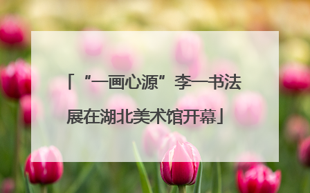 “一画心源”李一书法展在湖北美术馆开幕