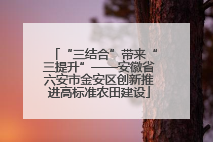 “三结合”带来“三提升”——安徽省六安市金安区创新推进高标准农田建设