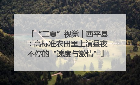 “三夏”视觉｜西平县：高标准农田里上演昼夜不停的“速度与激情”