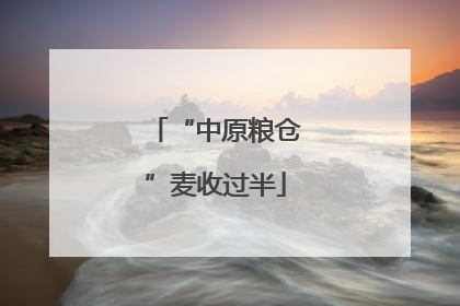 “中原粮仓”麦收过半