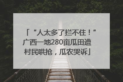 “人太多了拦不住！”广西一地280亩瓜田遭村民哄抢，瓜农哭诉