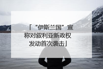 “伊斯兰国”宣称对叙利亚新政权发动首次袭击