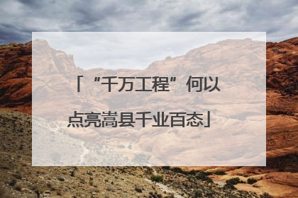 “千万工程”何以点亮嵩县千业百态