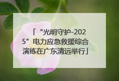 “光明守护-2025”电力应急救援综合演练在广东清远举行
