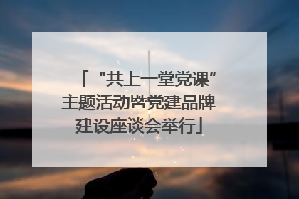 “共上一堂党课”主题活动暨党建品牌建设座谈会举行