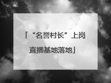 “名誉村长”上岗 直播基地落地