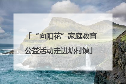 “向阳花”家庭教育公益活动走进塘村镇