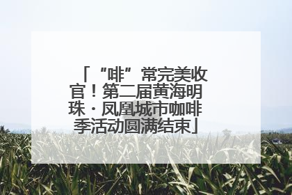 “啡”常完美收官！第二届黄海明珠・凤凰城市咖啡季活动圆满结束