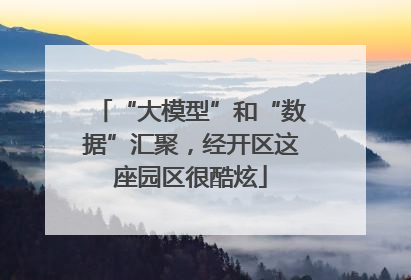 “大模型”和“数据”汇聚，经开区这座园区很酷炫