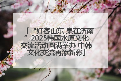 “好客山东 泉在济南”2025韩国水原文化交流活动圆满举办 中韩文化交流再添新彩