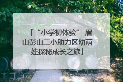 “小学初体验” 眉山彭山二小助力区幼萌娃探秘成长之旅
