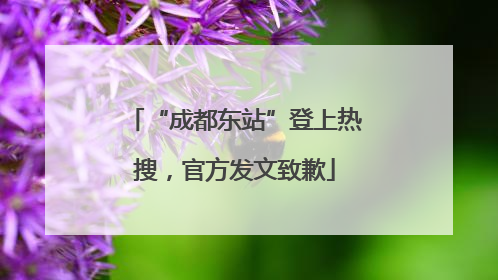 “成都东站”登上热搜，官方发文致歉