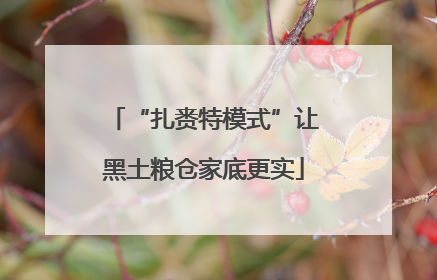 “扎赉特模式”让黑土粮仓家底更实