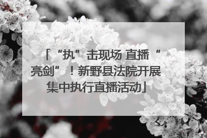 “执”击现场 直播“亮剑”！新野县法院开展集中执行直播活动