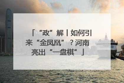 “政”解丨如何引来“金凤凰”？河南亮出“一盘棋”