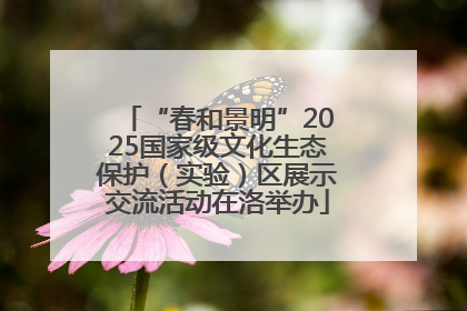 “春和景明”2025国家级文化生态保护（实验）区展示交流活动在洛举办