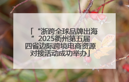 “浙跨全球品牌出海”2025衢州第五届四省边际跨境电商资源对接活动成功举办