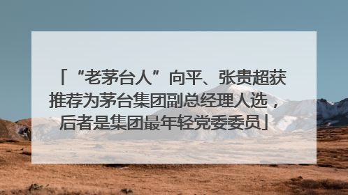“老茅台人”向平、张贵超获推荐为茅台集团副总经理人选，后者是集团最年轻党委委员