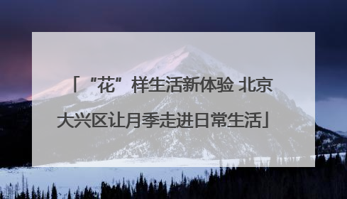 “花”样生活新体验 北京大兴区让月季走进日常生活
