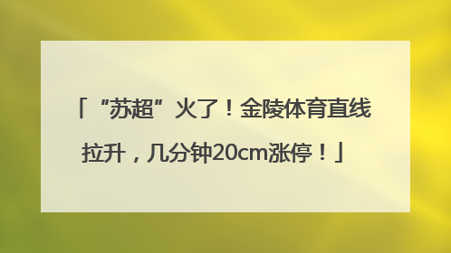 “苏超”火了!金陵体育直线拉升,几分钟20cm涨停!