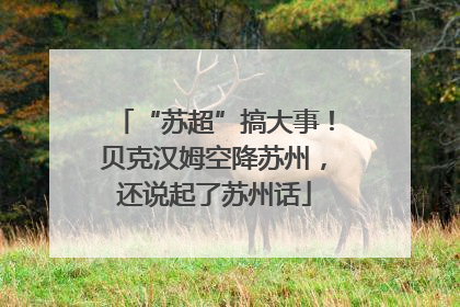 “苏超”搞大事！贝克汉姆空降苏州，还说起了苏州话