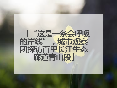 “这是一条会呼吸的岸线”，城市观察团探访百里长江生态廊道青山段
