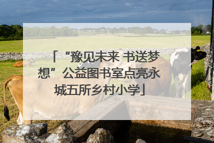 “豫见未来 书送梦想”公益图书室点亮永城五所乡村小学