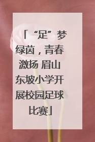 “足”梦绿茵，青春激扬 眉山东坡小学开展校园足球比赛