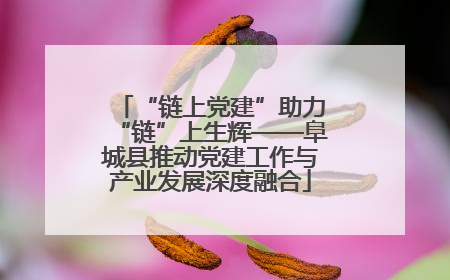 “链上党建”助力“链”上生辉——阜城县推动党建工作与产业发展深度融合