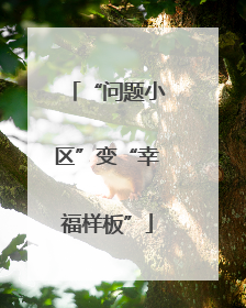 “问题小区”变“幸福样板”