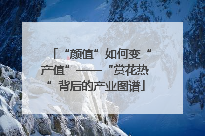 “颜值”如何变“产值”——“赏花热”背后的产业图谱