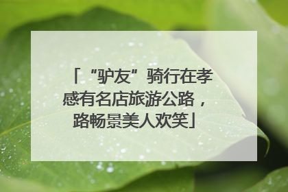 “驴友”骑行在孝感有名店旅游公路，路畅景美人欢笑
