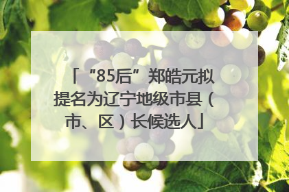 “85后”郑皓元拟提名为辽宁地级市县（市、区）长候选人